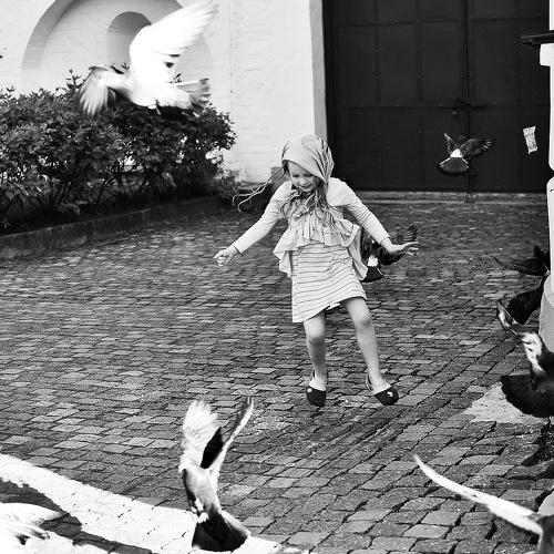 Photo #2584058