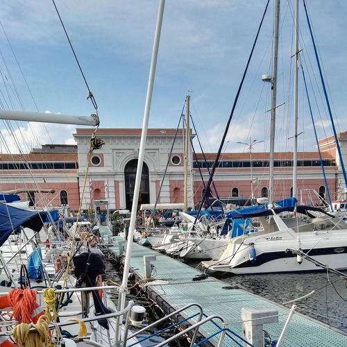 Photo #2584196