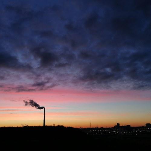 Photo #2585567