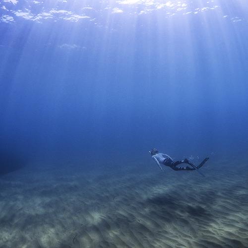 Freediver
