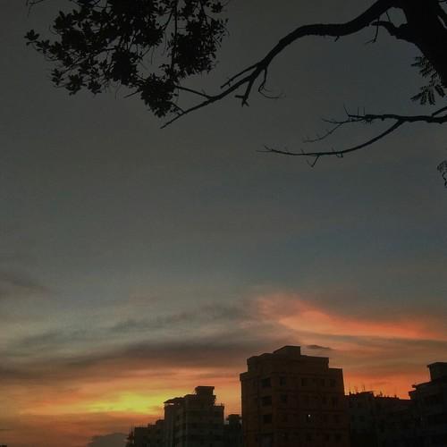 Photo #2587978