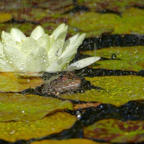 Photo #2588368