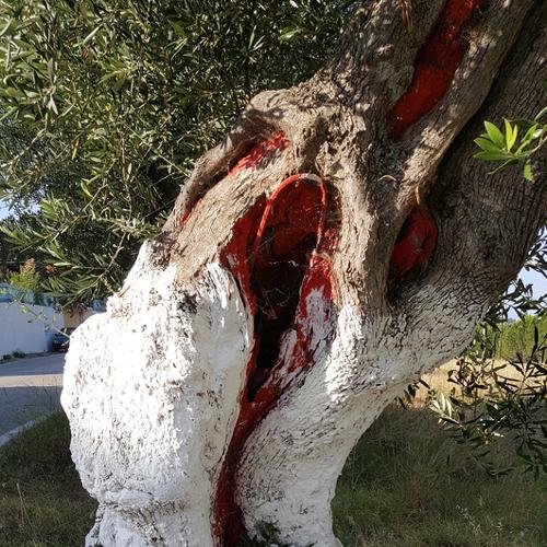 "Tree"