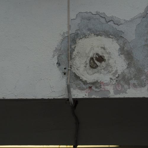 Photo #2588693