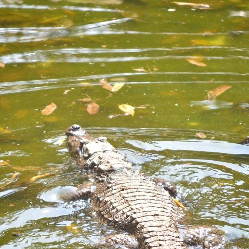 Photo #2588999