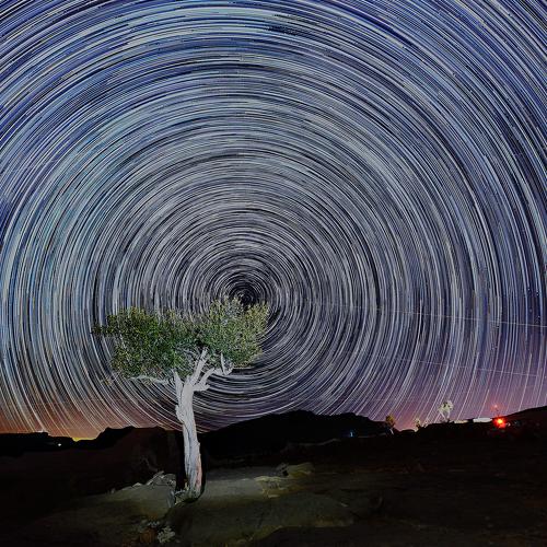 Star trail from Jabal shams Mountain -Oman