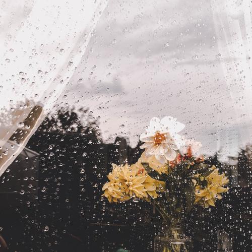 rain drum