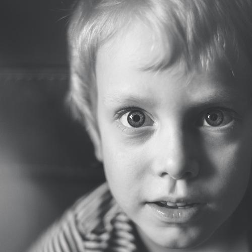 Photo #2590976