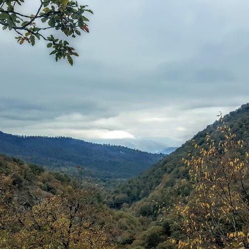 Осень