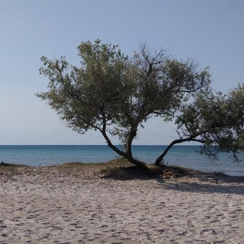 Morning calmness.