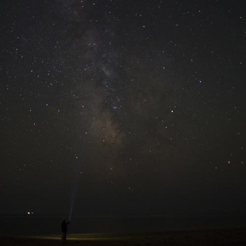 Photo #2594048