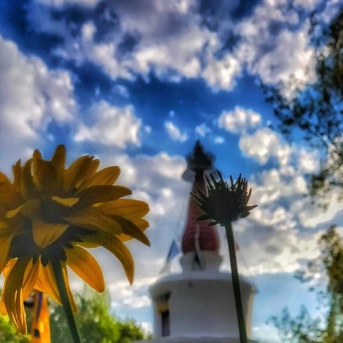 Temple