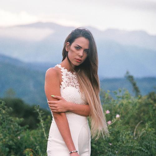 Photo #2595084