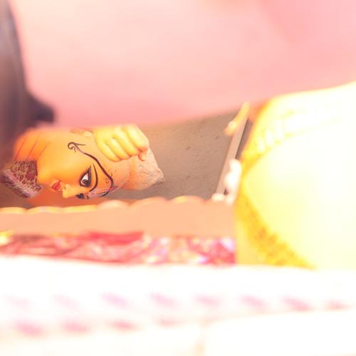 Photo #2595527