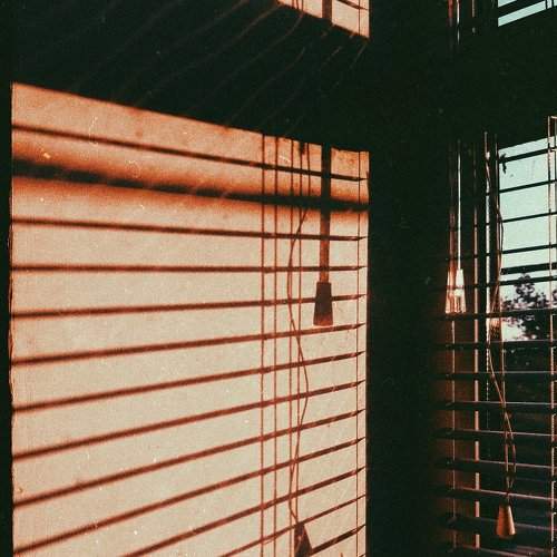 Photo #2596923