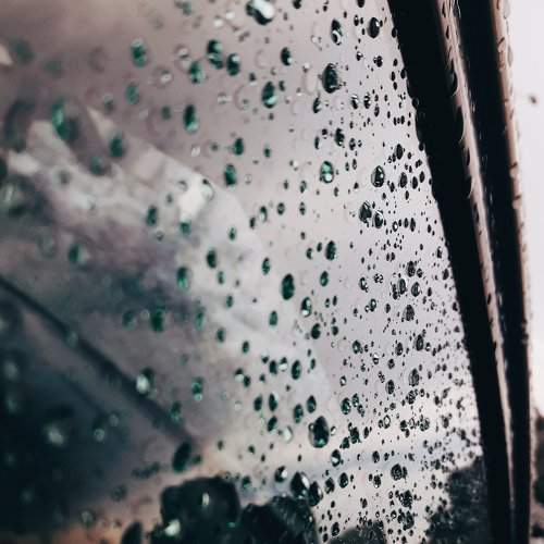 Photo #2596924