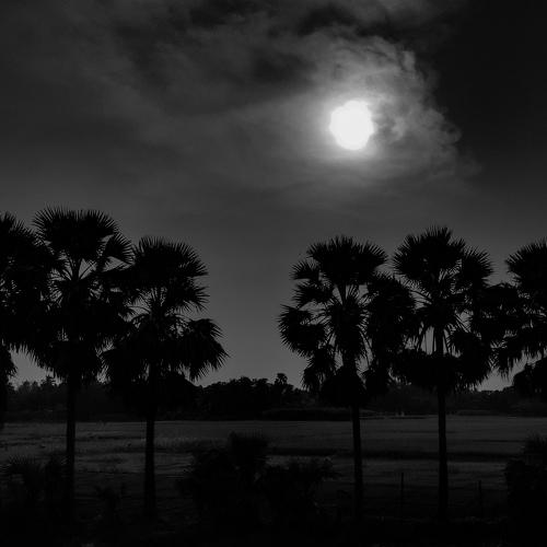The power of monochrome