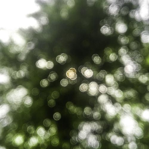 circlekeh