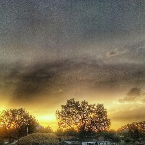 Photo #2598925