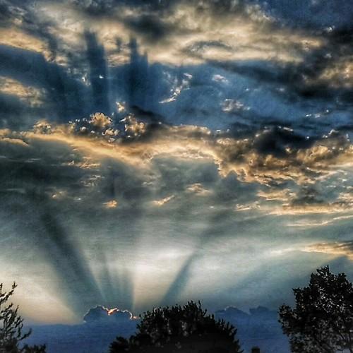 Photo #2598976