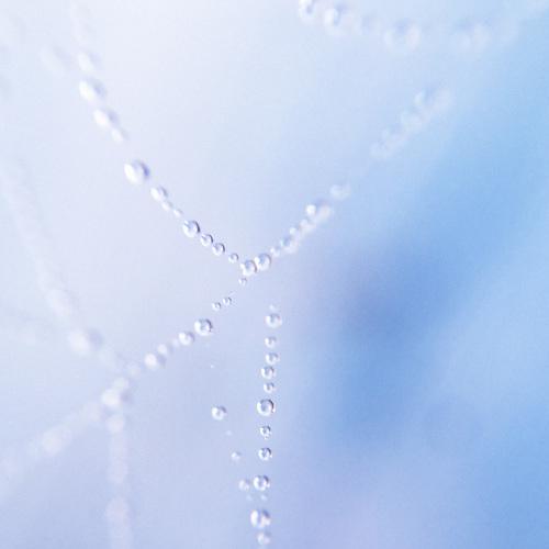 Photo #2599834