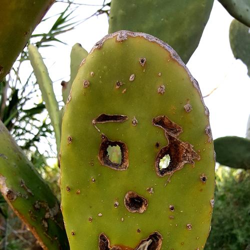 "smile"