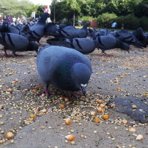 The daily feed