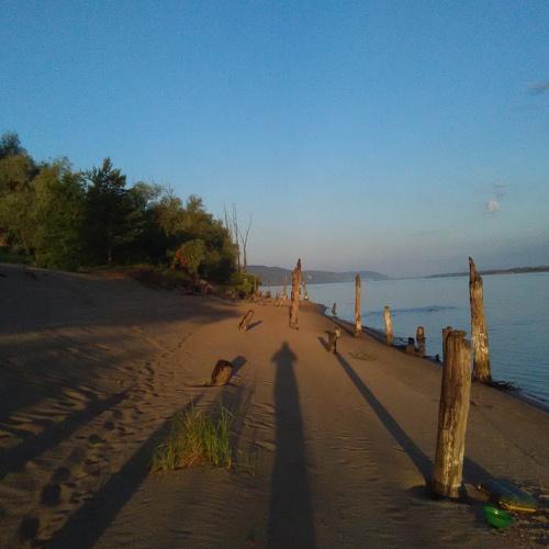 Утро в заповеднике