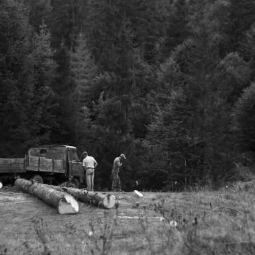 Deforestation of the Carpathian Mountains