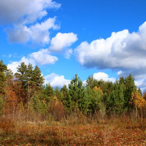 Photo #2606182