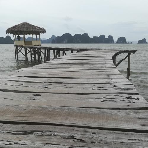 Wooden planks to Ha Long Bay