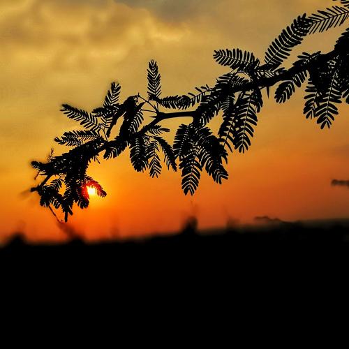 Hiding sun