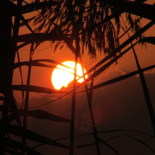 sun set