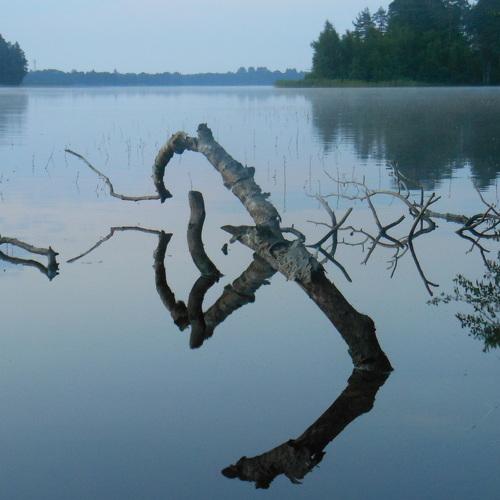 Water mirror