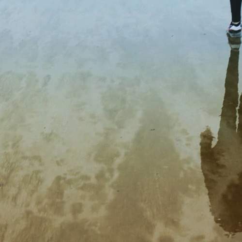 Photo #2607445