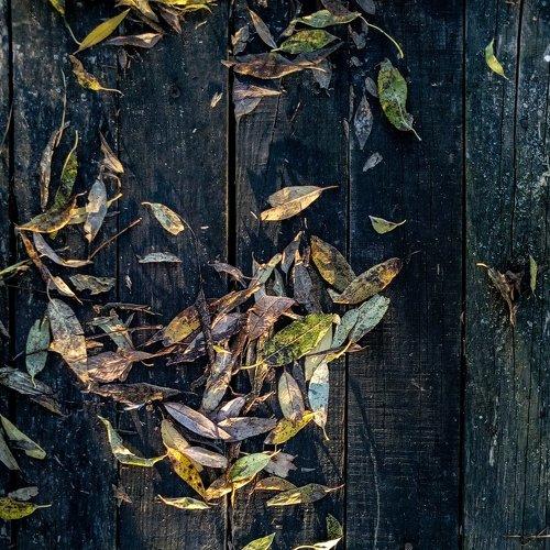 Photo #2607600