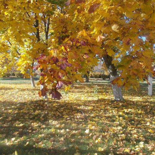 Photo #2607648