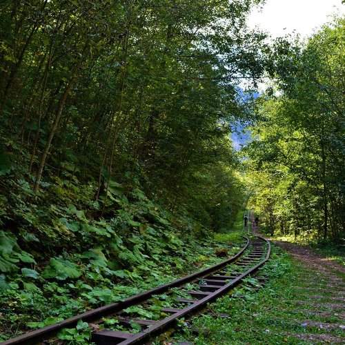 Photo #2608351