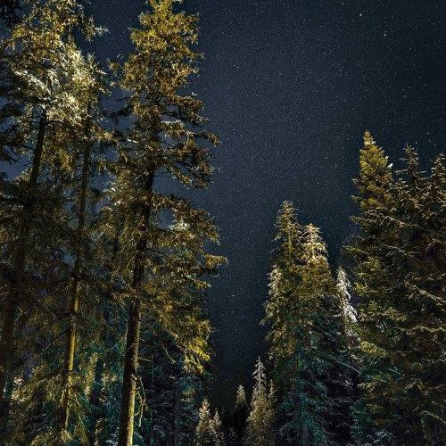Амут