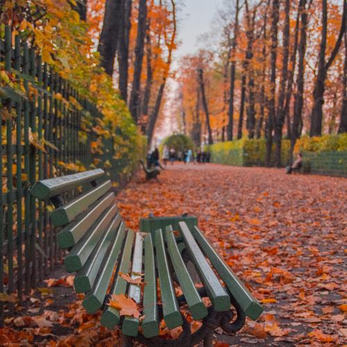 осень