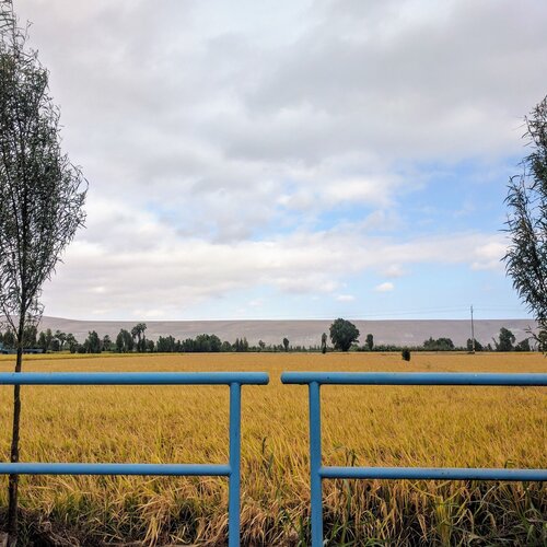 Crops in Balance