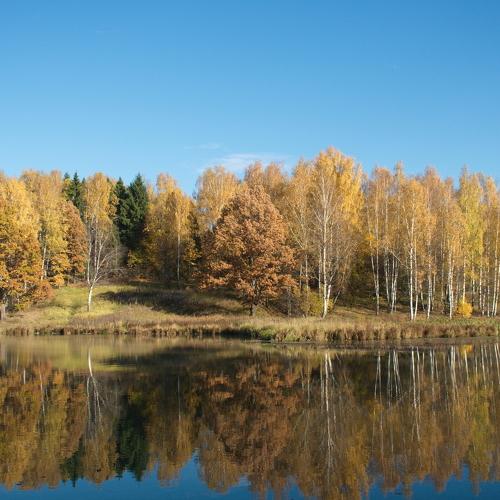 Autumn tints