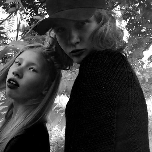 Photo #2611717