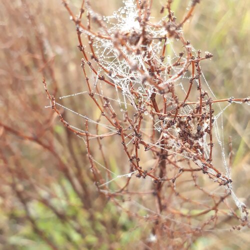 Photo #2612459