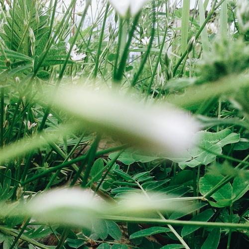 Photo #2612892