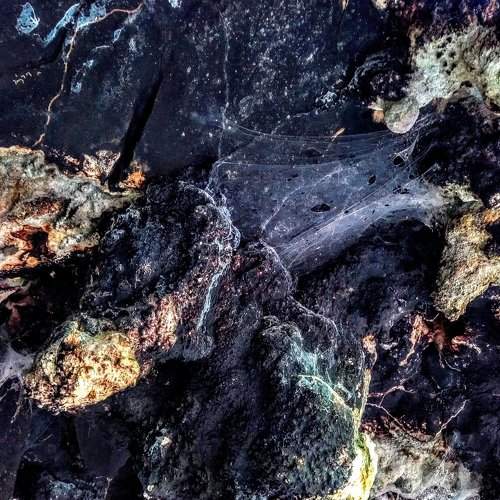 Texture of Nature