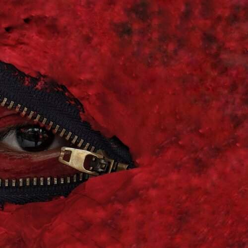 Eye