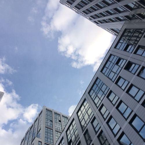 Photo #2617556