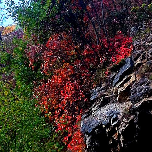Photo #2619307