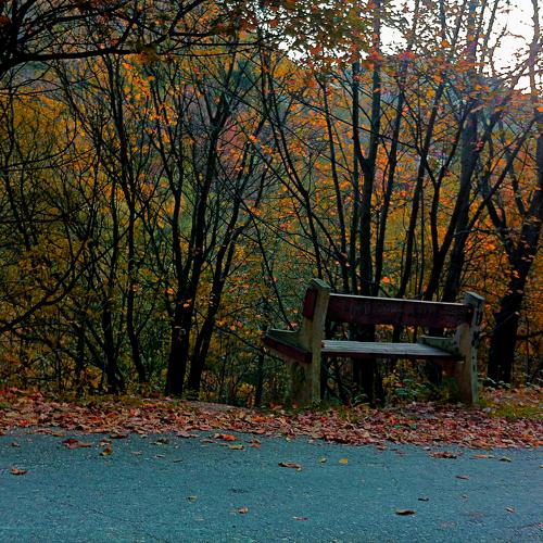 Photo #2619309